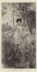 Flowers Plucked and Cast Aside